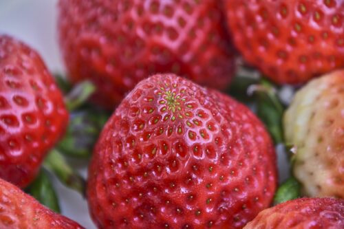 Las Diferencias Entre Las Fresas Y Fresones Frutas Y Verduras Erme