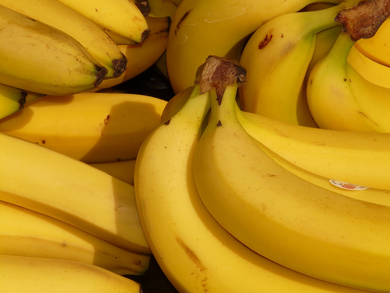 Plátano de Canarias
