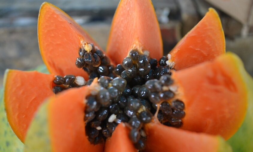 Papaya, fruta tropical